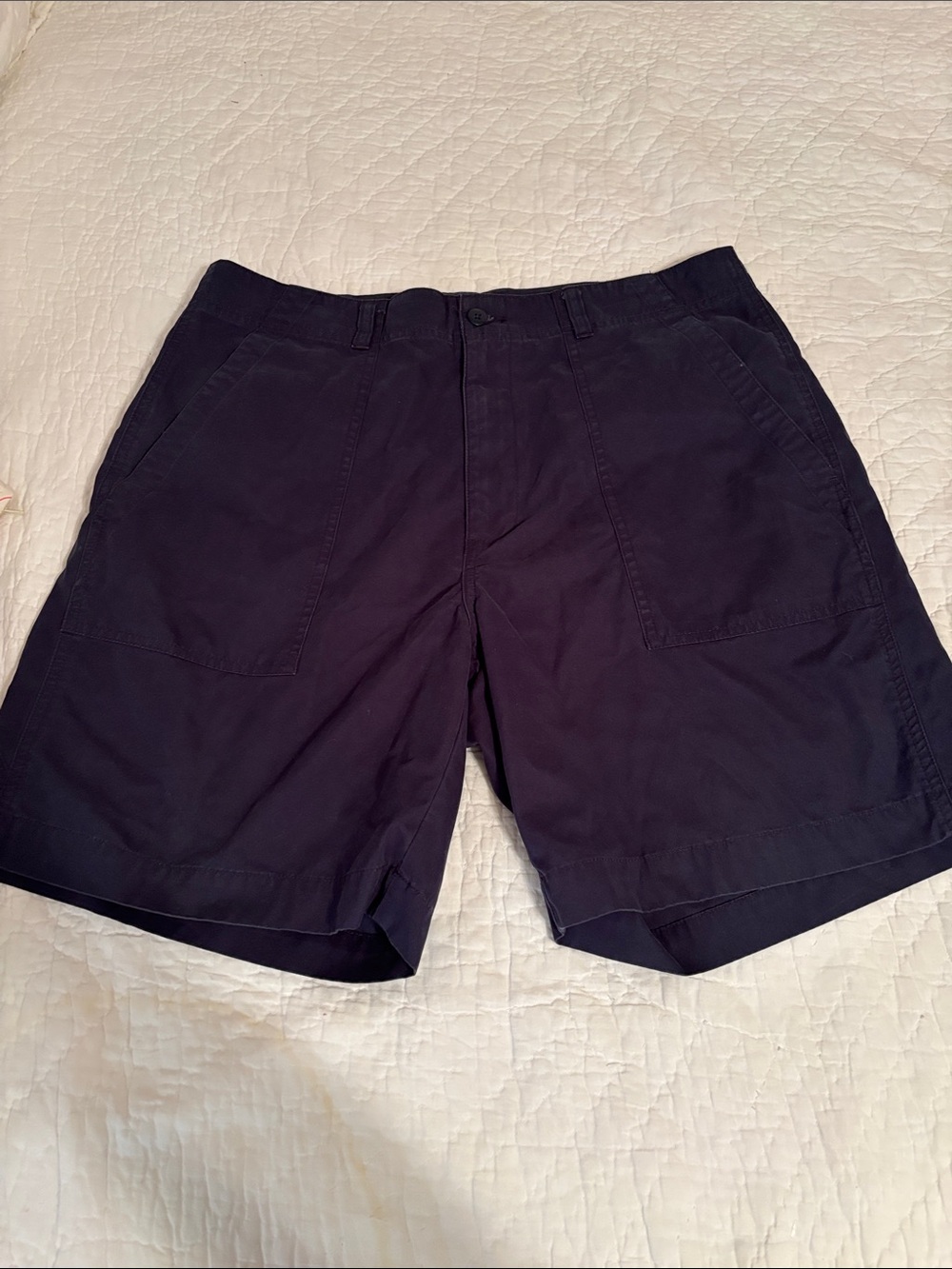 Polo by Ralph Lauren Men's Dark Navy Flat Front Shorts